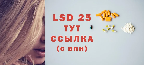 ГАЛЛЮЦИНОГЕННЫЕ ГРИБЫ Белокуриха