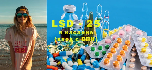 ГАЛЛЮЦИНОГЕННЫЕ ГРИБЫ Белокуриха