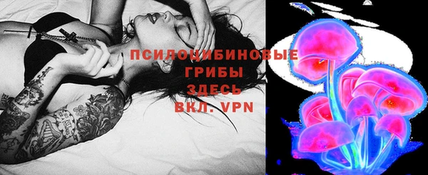 ГАЛЛЮЦИНОГЕННЫЕ ГРИБЫ Белокуриха