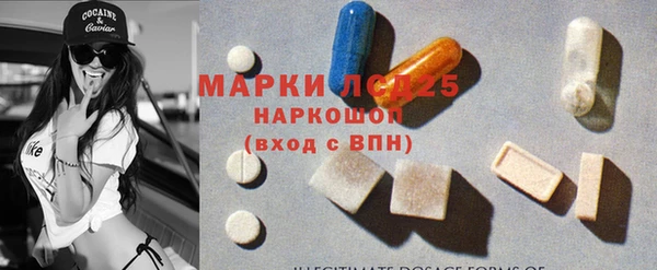 ГАЛЛЮЦИНОГЕННЫЕ ГРИБЫ Белокуриха