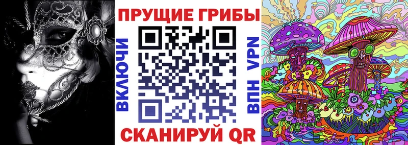 цены   Нижний Новгород  Псилоцибиновые грибы ЛСД 
